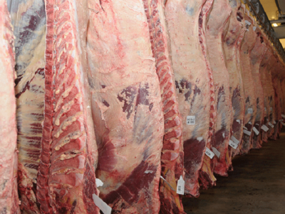 Frigoríficos habilitados para exportar carne bovina y ovina a México