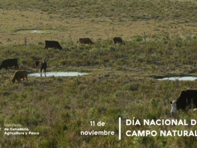 Día Nacional del Campo Natural