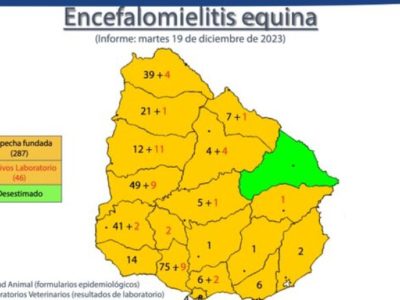 Informe de situación de Encefalomielitis en Uruguay